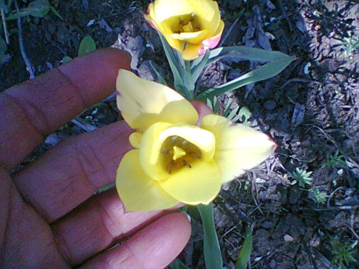 Fotogr.0968
