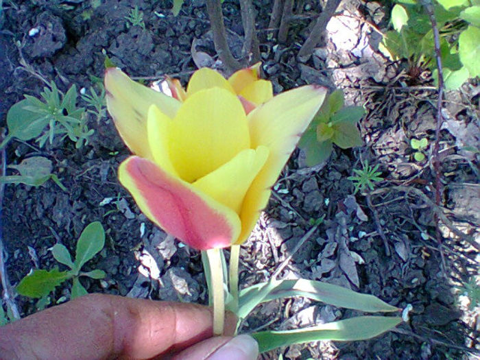 Fotogr.0969