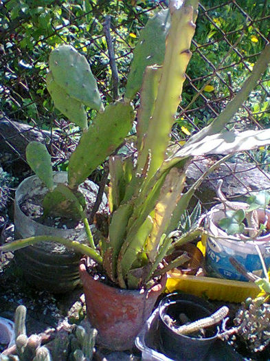 Fotogr.0972