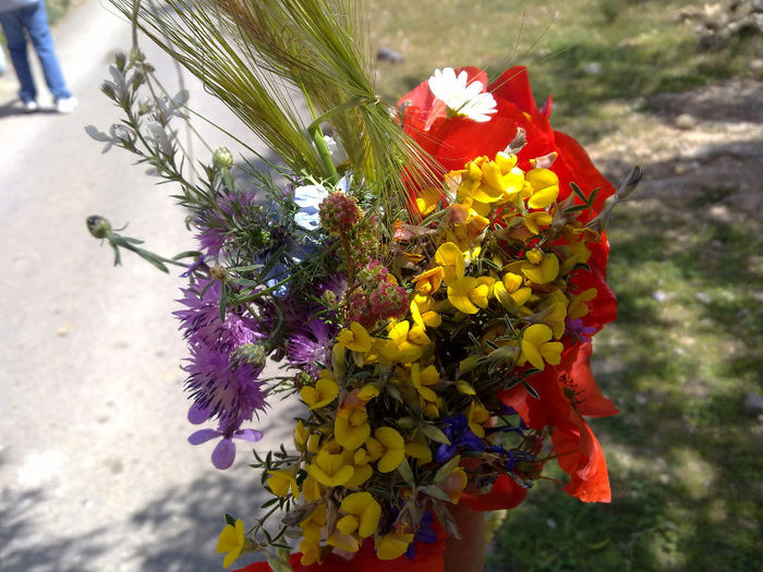 buchetel cu flori de munte - A3 flori si pomi