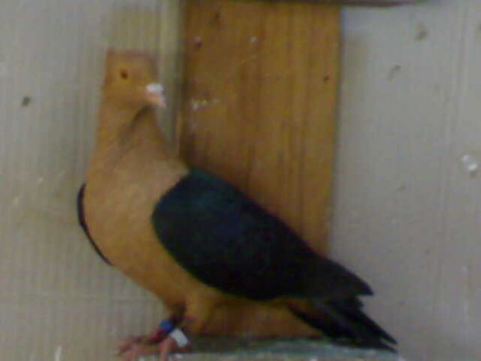201