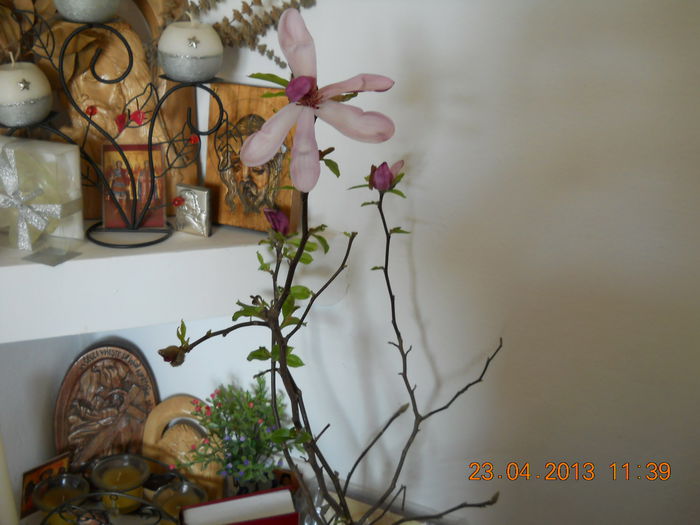 magnolie in vaza de flori