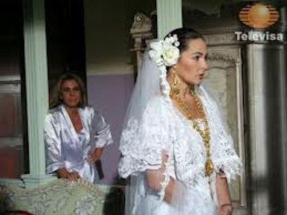 images (41)