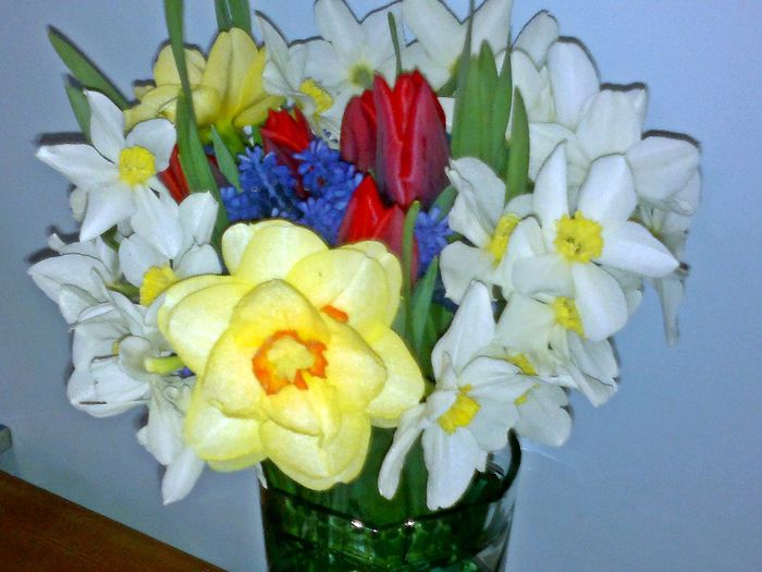 2013-04-24 - 2013 Gradina mea