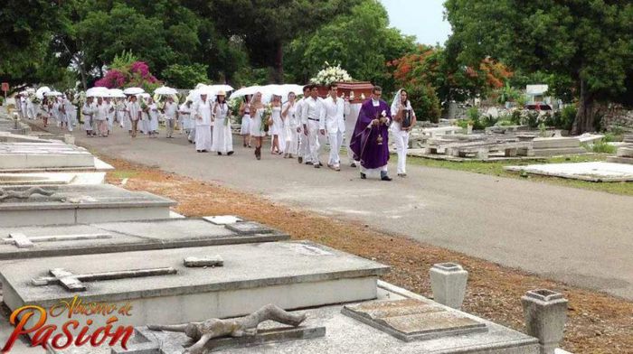 223930_516242878390007_726082143_n