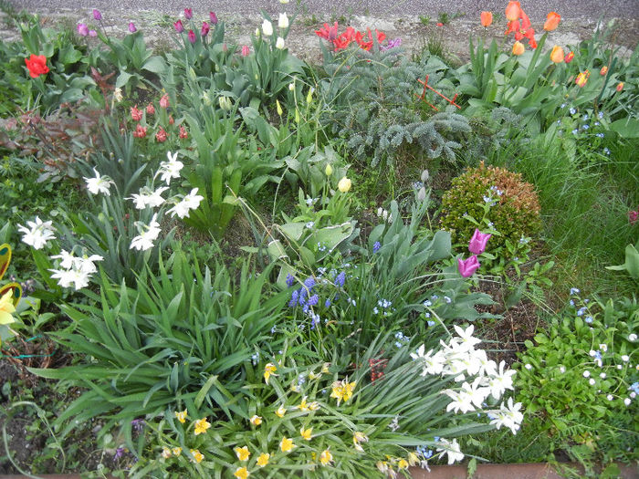 Spring colors (2013, April 21)