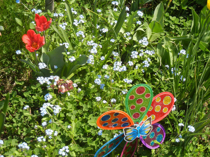 Spring colors (2013, April 22)