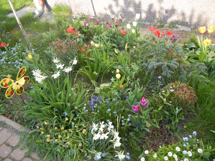 Spring colors (2013, April 22)