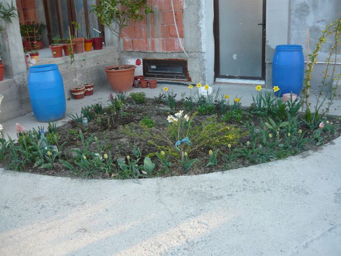 Picture 1681 - curtea primavara