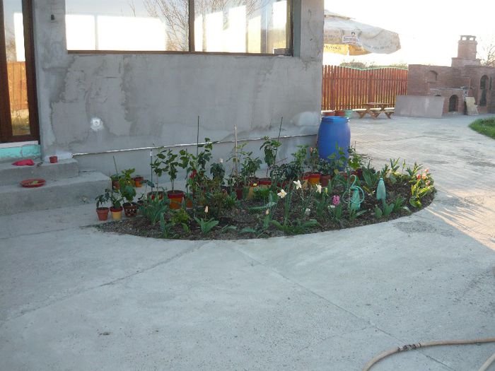 Picture 1682 - curtea primavara