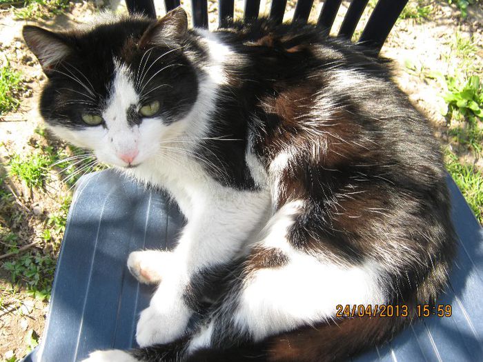 IMG_2309 - Aprilie la tara