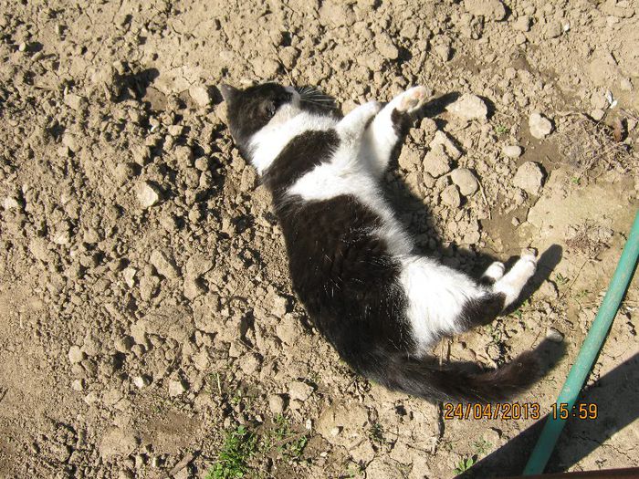 IMG_2313 - Aprilie la tara