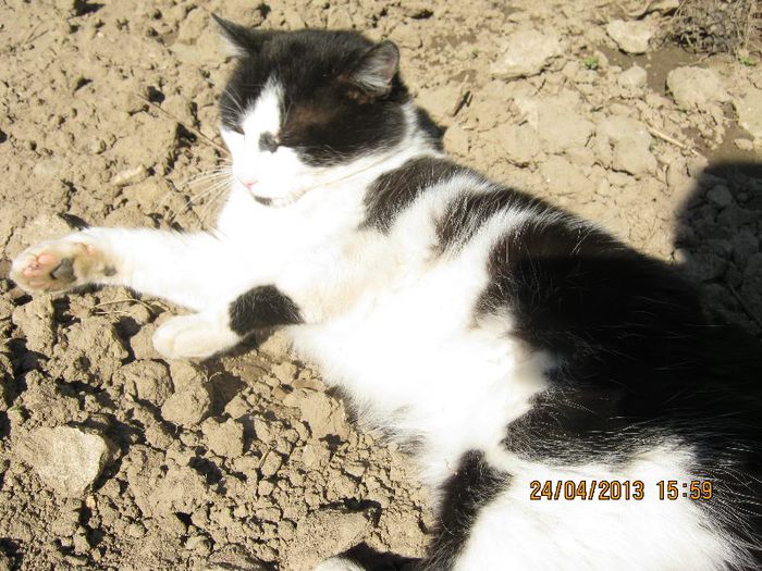 IMG_2314 - Aprilie la tara