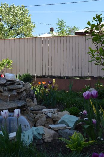 DSC_0779 - 1Gradina mult visata