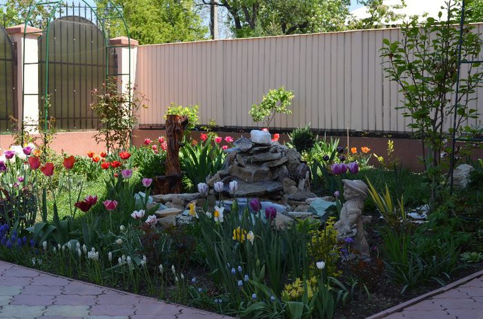 DSC_0781 - 1Gradina mult visata