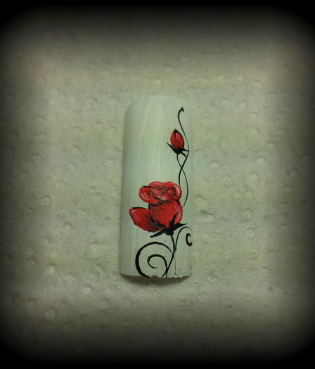 524203_510255545678876_1274064616_n