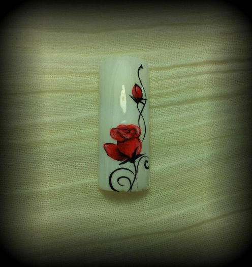 480773_510255329012231_836634486_n