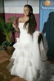 images (53) - Angelique Boyer