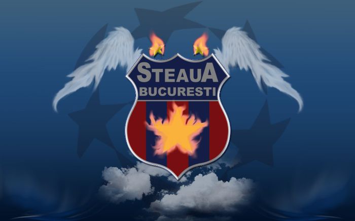 865302704_Steaua iti da aripi