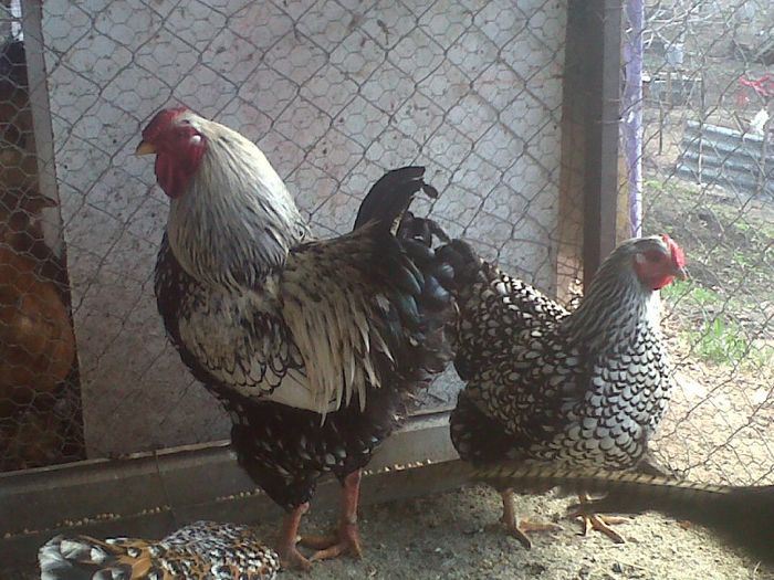 IMG00555-20130323-1742