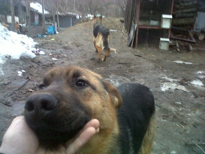 IMG00401-20130222-1701