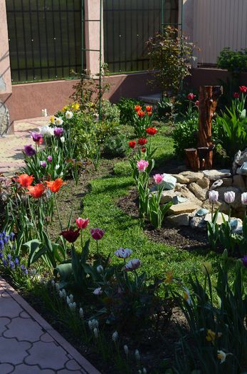 DSC_0802 - 1Gradina mult visata