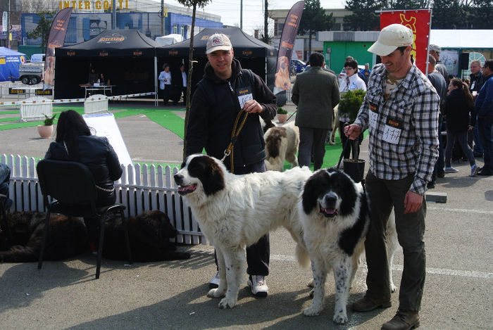 Amon 10 luni si Baltag