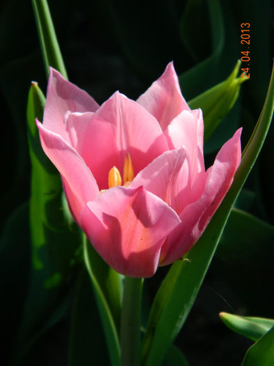 035