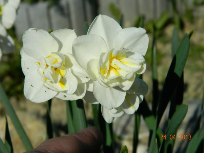 040