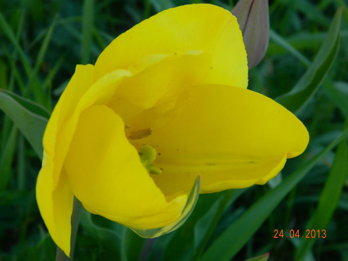 046