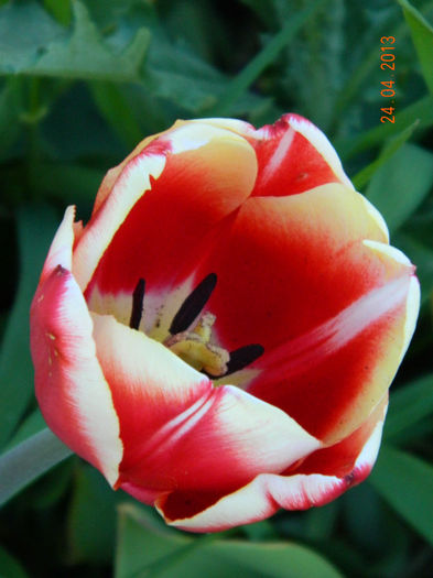 051