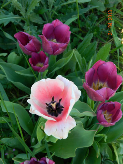 052