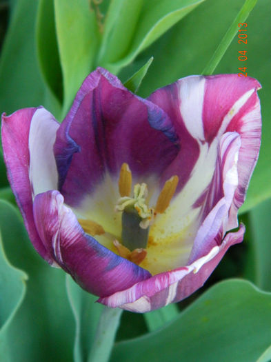 053
