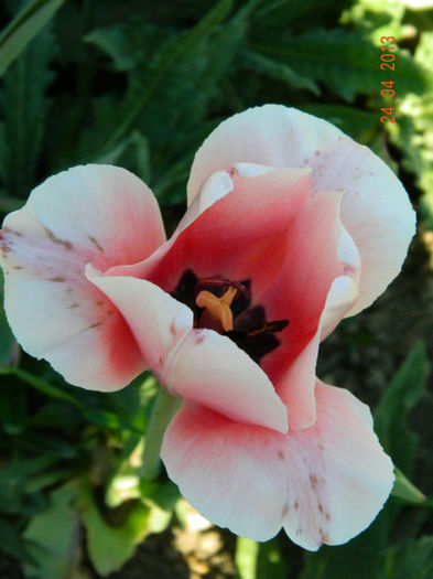055