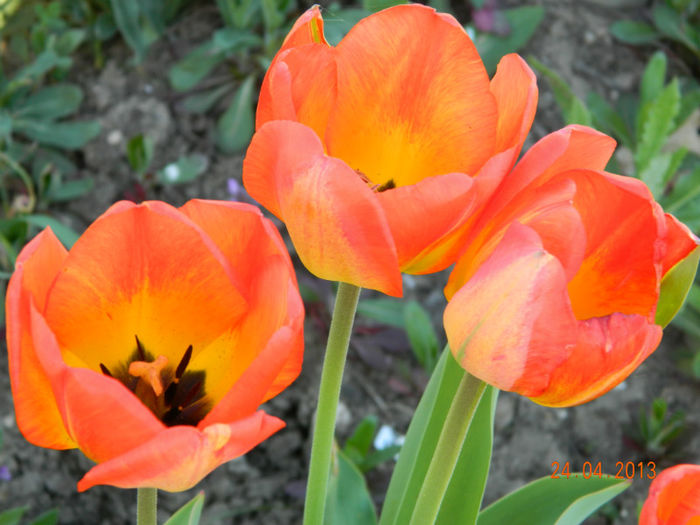 058
