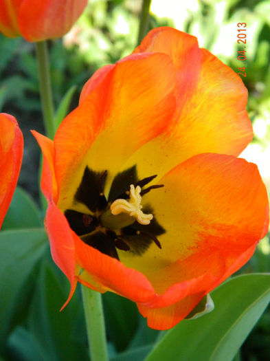 059