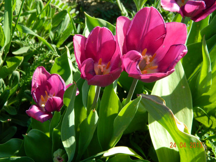 062