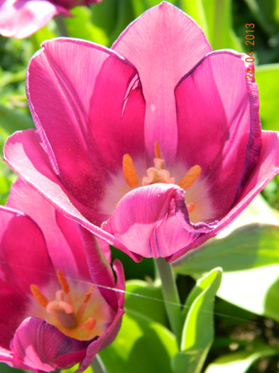 063