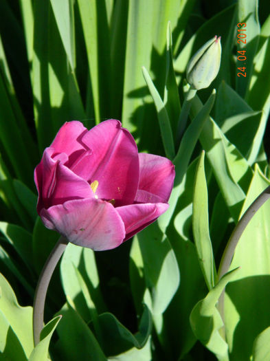 065