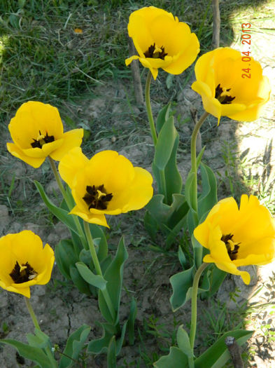 070