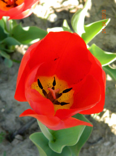 072