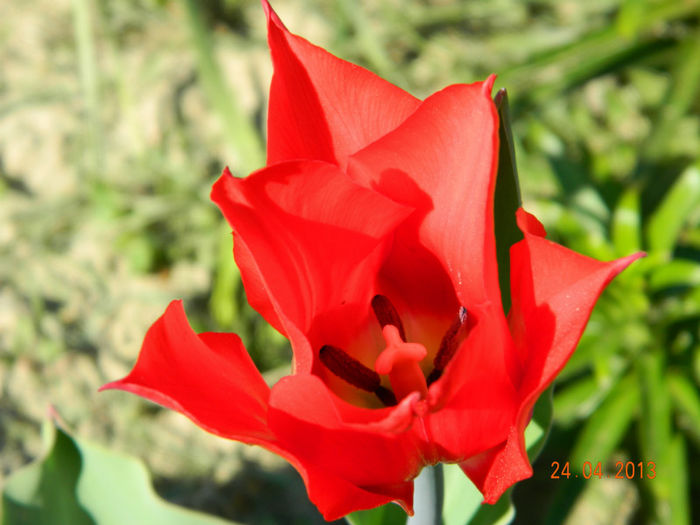 081