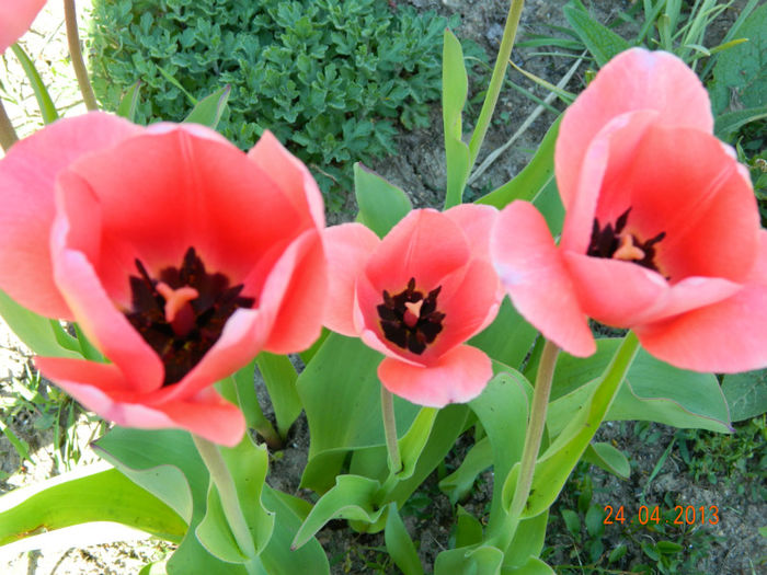 083