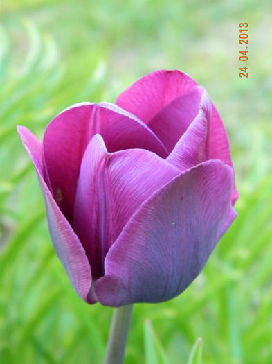 089