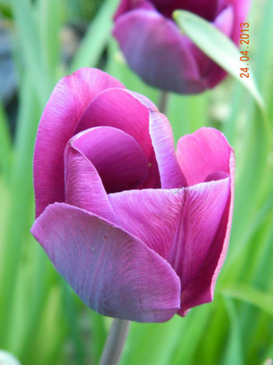 091