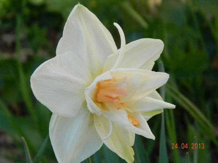 094