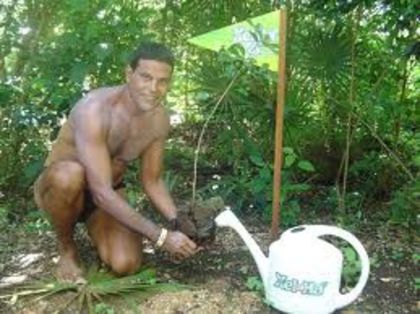 images (23) - Francisco Gattorno