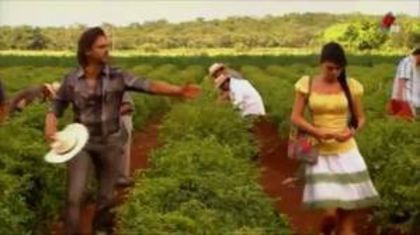 images (12)