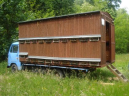 56.jpg_thumb