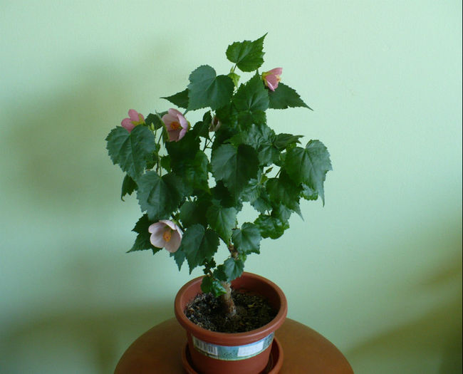 P1430216